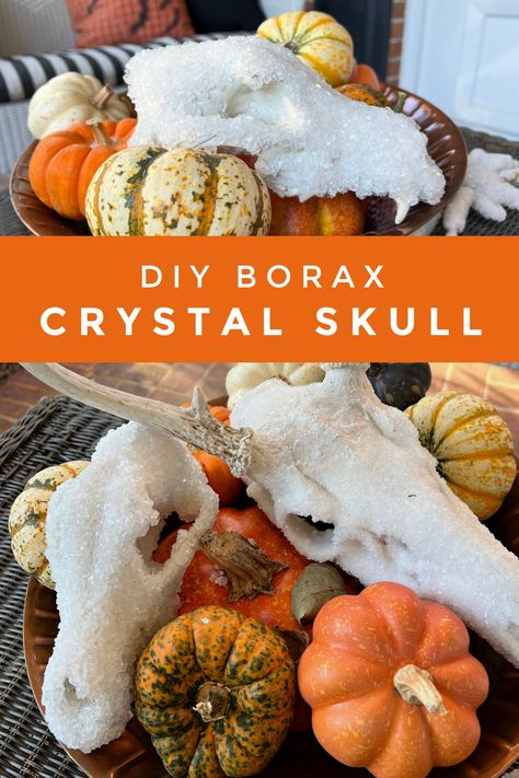 DIY Borax Crystal Skulls - Maggie Overby Studios Borax Crystal Deer Skull, Borax Crystals Diy Deer Skull, How To Make Borax Crystals, Borax Skull, Diy Borax Crystals, Crystal Skull Diy, How To Crystalize A Book, Borax Crystals Diy Skull, Crystallized Skull