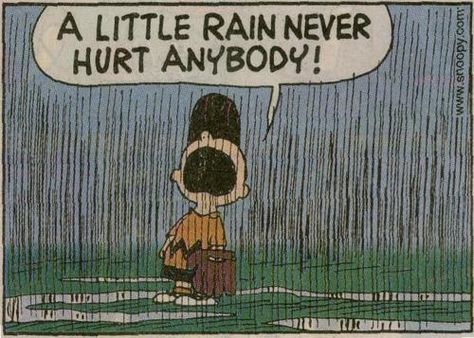 Oh Charlie :-) Rain Humor, I Love Rain, Snoopy Images, Baseball Humor, Love Rain, Singing In The Rain, Walking In The Rain, Rainy Night, Charlie Brown Peanuts