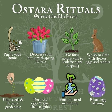 The Witch of the Forest ☾ on Instagram: “🐇 O𝕤𝕥𝕒𝕣𝕒/M𝕒𝕓𝕠𝕟 🌾 Ostara and Mabon are upon us (tomorrow!), so here are a few ideas for rituals and activities to celebrate! For Ostara…” Ostara Ritual, Wicca Holidays, March Equinox, Pagan Spirituality, Celtic Festival, Witch Spirituality, Vernal Equinox, Easter Basket Diy, Baby Witch