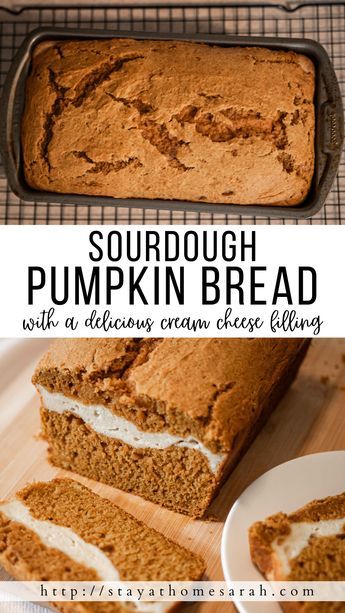 Cream Cheese Pumpkin Bread, Sourdough Pumpkin Bread, Best Sourdough Starter Recipe, Pumpkin Bread With Cream Cheese, Pumpkin Sourdough, Sourdough Ideas, Sourdough Pumpkin, Cream Cheese Pumpkin, Pumpkin Cream Cheese Bread