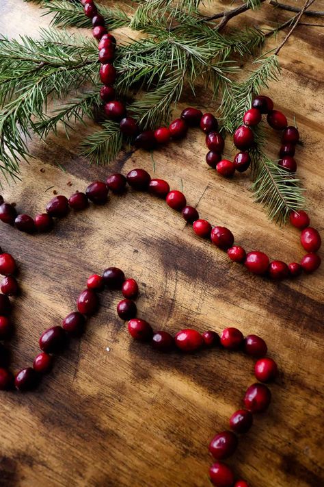 Berry Garland On Christmas Tree, Cranberry Red Christmas Decor, How To String Cranberries For Garland, Victorian Christmas Garland, Cranberry Decor Christmas, Cranberry Garland Christmas Tree, Diy Cranberry Garland, Winter Garland Ideas, Chestnut Garland