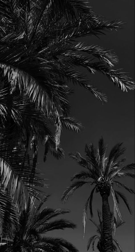 Beach Aesthetic Art, Dream House Beach, Android Wallpaper Dark, Surf Aesthetic, Zodiac Academy, Beautiful Skies, House Beach, Wallpaper Dark, Beautiful Sky