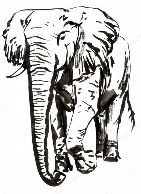 Ink drawing of an elephant in motion Ink Brush Drawing, Drawing Of An Elephant, Doodle Pen, Sketchbook Prompts, Ink Logo, Drawing Brush, Human Sketch, Elephant Pictures, Elephants Photos