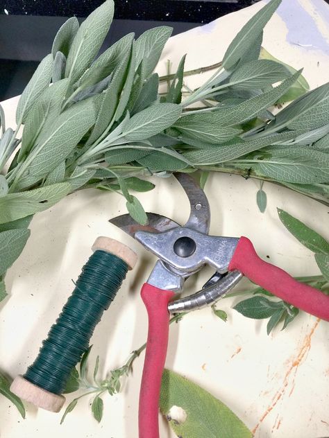 Dried Sage Wreath, Sage Gift Ideas, Sage Wreath Diy, Harvesting Sage, Sage Crafts, Mini Wreath Diy, Sage Wreath, Simple Wreaths, Fun Wreaths