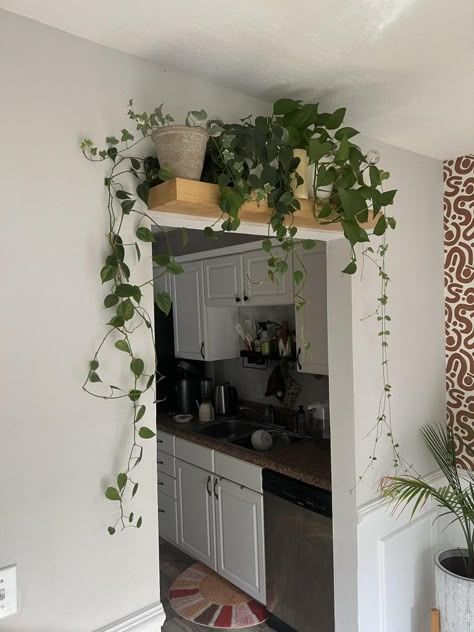 Top Of Dresser, Corner Shelf Ideas, Indoor Plant Shelves, Doorway Decor, Plant Shelf, Organization Decor, Small Apartment Living, Plant Shelves, Living Wall