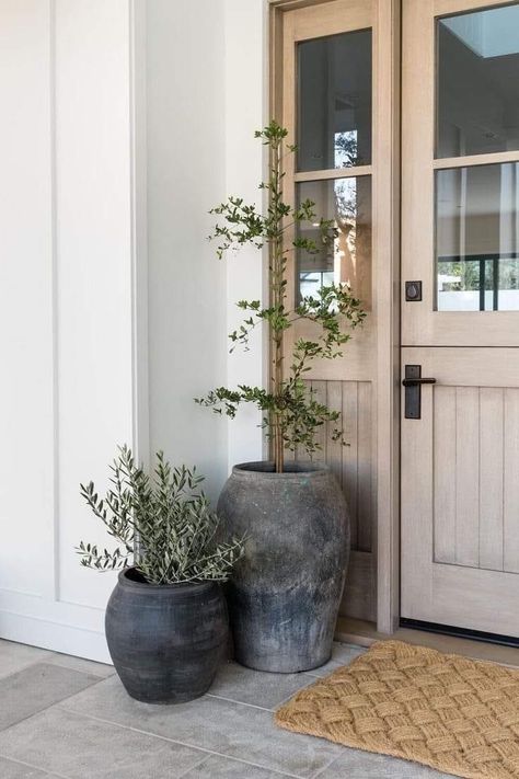 Hampton Interior, Black Olive Tree, Pool House Cabana, Front Door Plants, Newport Beach House, Large Vases, Front Porch Decorating, Garden Studio, Front Porch Ideas