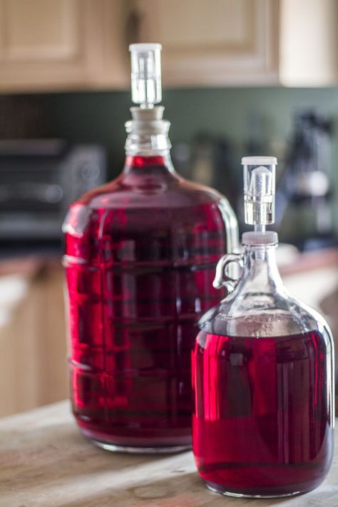 From Vine to Wine : Homemade Blueberry Cherry Wine • Port Wine & Adventure Blueberry Wine, Canned Blueberries, Strawberry Wine, Cherry Wine, Port Wine, Cherry Juice, Whiskey Bottle, Wine Recipes, Cherry