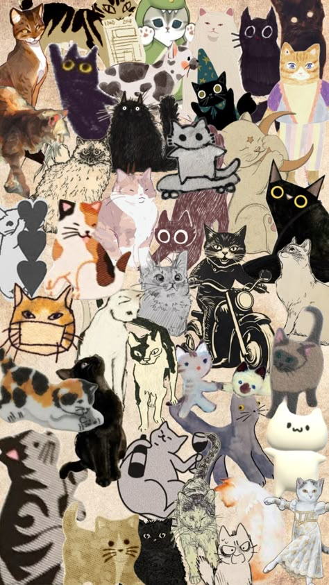 Cat Collage, Wall Collage Decor, Pretty Wallpapers Tumblr, Cat Background, Phone Wallpaper Patterns, Kawaii Wallpaper, Cat Wallpaper, Photo Wallpaper, Beautiful Creatures