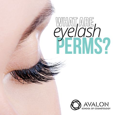 Eyelash perms are a great alternative to eyelash extensions. Check out how they can make a difference in your style. #myavalon #beauty Permed Eyelashes, Perm Eyelashes, Beauty Diy, Diy Tips, Cosmetology, Make A Difference, Perm, Diy Beauty, Eyelash Extensions