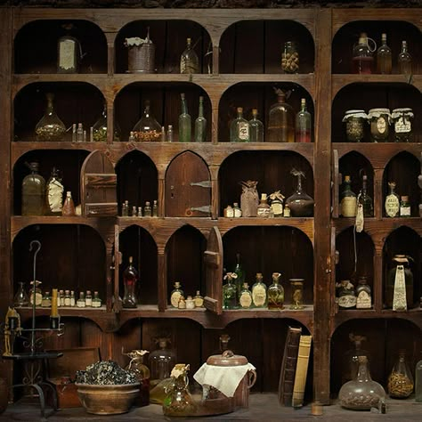 Witches Cottage, Witch Cottage, Apothecary Cabinet, Outlander Book, Diana Gabaldon, Cabinet Of Curiosities, Outlander Series, Bottles And Jars, Dieselpunk