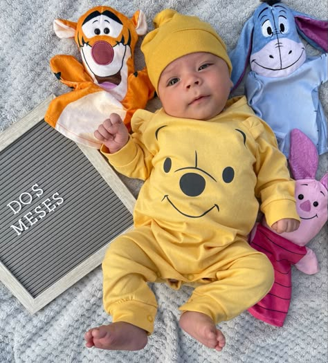 Disney Monthly Baby Pictures Boy, Disney Monthly Baby Pictures, Cumplemes Bebe Ideas, 2 Month Baby, Baby Milestones Pictures, Monthly Baby Pictures, Baby Photoshoot Boy, Baby Boy Pictures, Unisex Baby Shower