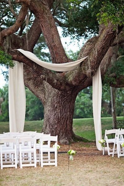 Intimate Weddings - Small Wedding Venues and Locations - DIY Wedding Ideas - Small Wedding Blog - Part 8 Reception Layout, Vowel Renewal, Rustic Wedding Decorations, Bbq Wedding, Wedding Altars, Unconventional Wedding, Wedding Ceremony Backdrop, Food Displays, Bridal Musings