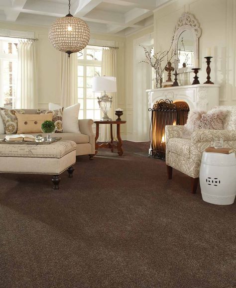 Beige Carpet Living Room, Brown Carpet Living Room, Brown Carpet Bedroom, Living Room Classic, Family Room Walls, Best Living Room, Brown Carpet, Faucet Design, Carpet Living Room