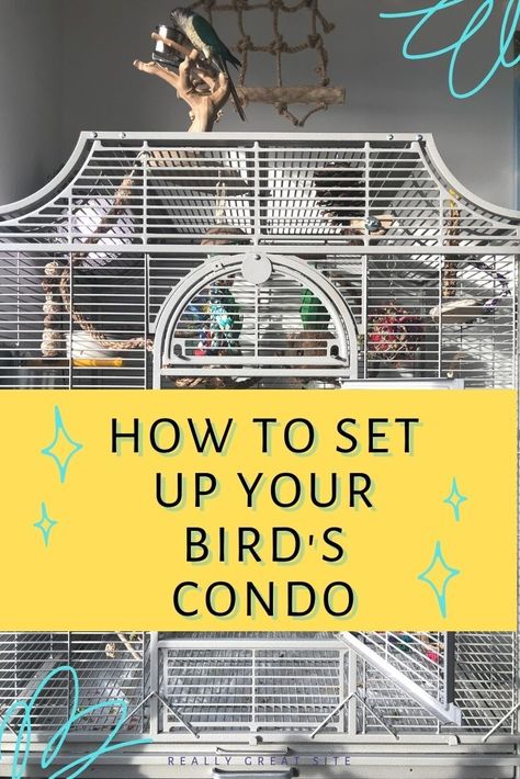 Bird Cage Set Up Ideas, Sun Conure Cage Setup, Quaker Parrot Cage Setup, Lovebirds Cage Ideas, Diy Parrot Cage, Budgie Cage Ideas, Parakeet Cage Ideas, Bird Cage Setup, Budgie Care