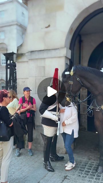 Horse Guards London, Royal Horse Guards, Royal Horse, Horse Guards, Instagram King, Royal Guard, Horses, Puppies, London