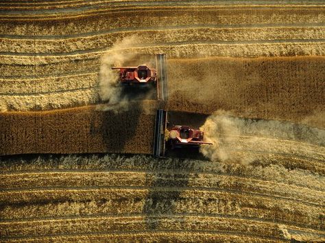 GOODLAND, KANSAS -- Wheat harvest in western Kansas where the annual ballet of the combines sweeps the wheat fields clean. Description from flickriver.com. I searched for this on bing.com/images Wheat Harvest, Earth From Above, Aerial Photos, Bird's Eye View, Aerial Drone, Crop Circles, Great Plains, Wheat Fields, Drone Photos