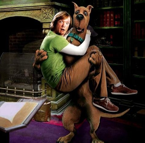 Trivia Quiz Questions, Scooby Doo Movie, Seth Green, Most Popular Cartoons, Freddie Prinze, Alicia Silverstone, Trivia Questions And Answers, Cartoon Series, Popular Cartoons