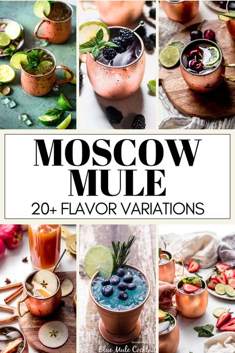 Here are 20 Moscow Mule variations for you to try when you want a twist on the classic Moscow Mule cocktail. // moscow mule recipe // moscow mule cocktail // moscow mule variations #moscowmule #mulecocktail Vodka Mule Recipe, Mule Cocktail Recipes, Easy Moscow Mule Recipe, Moscow Mule Variations, Mule Variations, Moscow Mule Recipe Classic, Cocktail Moscow Mule, Moscow Mule Recipes, Best Moscow Mule