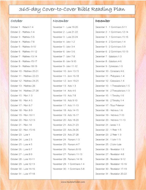 365-day Cover-to-Cover Bible Reading Plan - Kaylene Yoder 1 Year Bible Reading Plan 2024, 1 Year Bible Reading Plan, Bible Advice, One Year Bible Reading Plan, Praise Break, Chronological Bible Reading Plan, Daily Bible Reading Plan, Chronological Bible, Year Bible Reading Plan