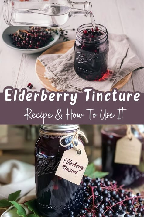 Fight off colds and flu with this simple elderberry tincture recipe! Using just 2 ingredients, you can create a powerful home remedy that boosts your immune system and keeps you healthy. Elderberries are rich in antioxidants and helpful nutrients. This tincture lasts up to 5 years, making it a staple for your natural remedy arsenal. Click to learn more and get the recipe! Elderberry Tincture, Tincture Recipes, Elderberry Benefits, Herbal Diy, Herb Tinctures, Medicinal Herb Garden, Elderberry Syrup Recipe, Tinctures Recipes, Homemade Elderberry