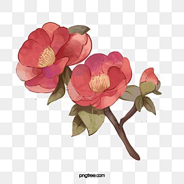 Camellia Tree, Rose Background, Holiday Hats, Red Decor, Christmas Hat, Tree Painting, Watercolor Background, Clipart Images, Red Background