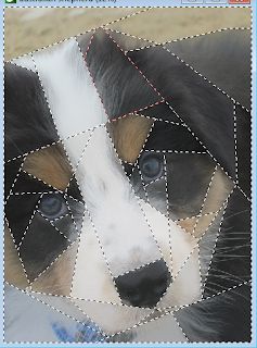 Animal Paper Piecing Patterns, Fpp Patterns Free, New Quilt Patterns, Paper Piecing Quilt Patterns, Pixel Quilting, Bonnie Christine, Quilting Software, Paper Pieced Quilt Patterns, Foundation Paper Piecing Patterns