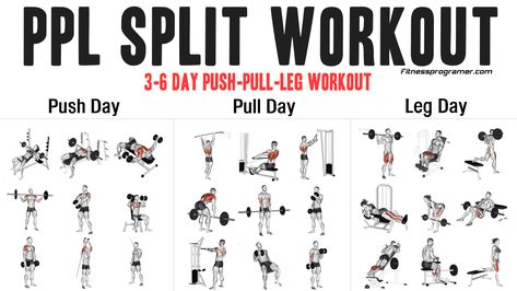 Legs And Shoulders Workout Gym, Gym Workout Split Strength Training, Push Day Workout Gym, Pull Push Leg Workout, Pull Workout For Men, Work Out Split Weight Training, Push Pull Leg Workout Routine, 3 Day Push Pull Legs Workout, Push Pull Legs Workout Plan For Women