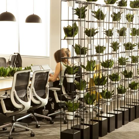 Plant Office Design, Green Office Decor, Living Wall Diy, Open Space Office, Cozy Office, Green Office, Beautiful Office, Office Space Design, Modern Office Design