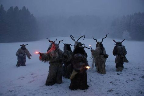 Gothic Christmas Aesthetic, Dark Christmas, Animal Costumes, Winter Festival, 다크 판타지, Witch Aesthetic, Arte Inspo, Winter Solstice, Christmas Aesthetic