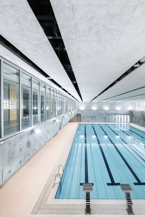 Gallery of Kaohsiung American School Athletic Complex / MAYU architects+ - 4 Cheap Pool, Piscina Interior, Swimming Pool Architecture, Indoor Swimming Pool, Natural Swimming Pools, American School, Luxury Pools, Small Pools, Kaohsiung