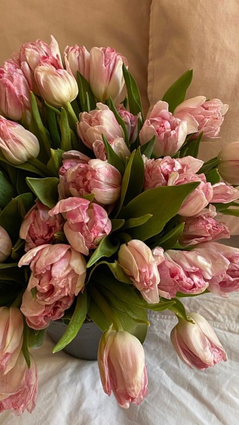 Dried Tulips, Wallpapers Beautiful, Makeup Skills, Plants Are Friends, Visual Board, Flower Shower, Nothing But Flowers, Flower Therapy, Beautiful Flower Arrangements