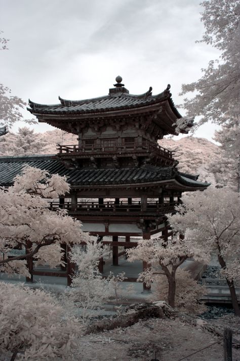 Japanese Buildings, Japan Architecture, Japanese Temple, Asian Architecture, Japanese Landscape, Japan Aesthetic, Aesthetic Japan, Japanese Architecture, Ancient Temples