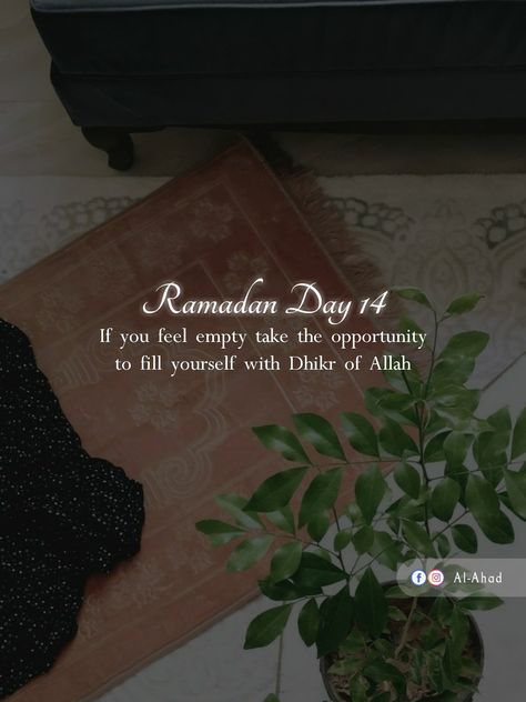 Ramzan Day 12 Quotes, Ramadan Day 5 Quotes, Ramzan 2024, Allah Dp, Ramadan Board, Ramadan Dpz, Ramzan Wallpaper, Ramadan Dates, Best Ramadan Quotes