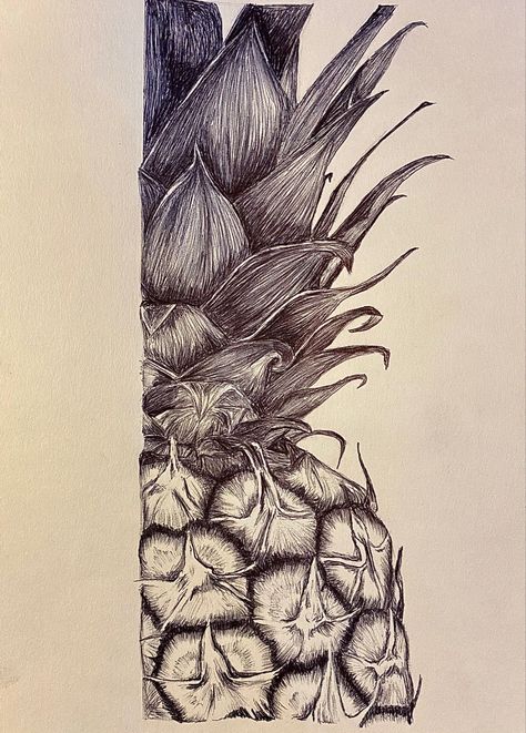 Fruit sketch in pen 
Pen art Pineapple Ink Drawing, Natural Forms Pencil Drawing, Rough Texture Drawing, Fruit Texture Drawing, Surfaces Art Gcse, A3 Paper Drawings, Fruit Pen Drawing, Natural Forms Drawings, Natural Forms Final Piece