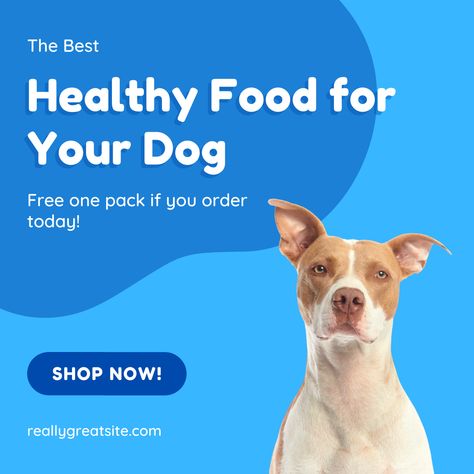 Cute Dog Instagram Post. Cute Dog Pet shop Instagram and Social media Post. Can Dogs Eat Watermelon, Food Instagram Post, Dog Eats, Dog Summer Clothes, Dog Instagram, Food Instagram, Dog Varieties, Pet Clinic, Dog Store