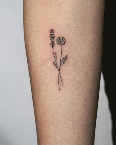 Anna Adams on Instagram: “Chamomile and lavender bundle 🌿 . . . #portlandtattoo #oregontattoo #pnwtattoo #pdxtattoo #linework #lineworktattoo #floral #floraltattoo…” Lavender And Chamomile Tattoo, Camomile Flower Tattoo, Chamomile Tattoo, Flower Tats, Flower Flash, Oregon Tattoo, Pnw Tattoo, Lavender Bundle, Portland Tattoo