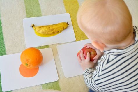 Montessori Trays 12 Months, Playroom Activities, Stimulation Activities, Montessori Trays, Matching Activities, Fruit Coloring Pages, Baby Play Activities, Montessori Toddler Activities, Toddler Classroom