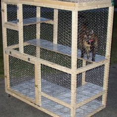 How to build a cat cage  http://tazthecat.net/catcage/one-html/catcage-howto.html Cat Cages Indoor, Diy Cat Enclosure, Katt Grejer, Cat Litter Box Enclosure, Cat Patio, Cat Kennel, Cat Pen, Cat Cage, Outdoor Cat Enclosure