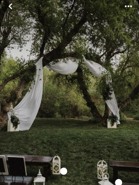 Fabric Draped Tree Wedding, Cloth Arch Wedding, Outdoor Covered Wedding, Willow Tree Wedding Arch, Wedding Arch Between Two Trees, Outdoor Wedding Drapery Ideas, Tree Drapery Wedding, Tree Alter Wedding, Wedding Arch Alternative Outdoor