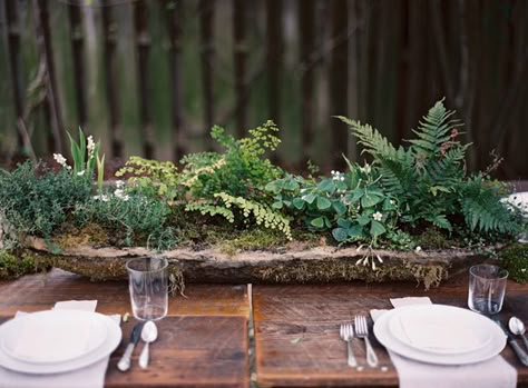 this is such a beautiful MOSSY and FERN FILLED potted plant tablescape for an outdoor wedding (or any garden party)!!  this link shows directions..."My sister and I made the hypertufa pots for each table and Katie potted beautiful, unruly arrangements in them- which I proudly still nurture & keep today!" Moss Centerpieces, Tuscan Inspired Wedding, Succulent Centerpieces, Tuscan Inspired, Outdoor Dinner, Diy Wedding Flowers, Whimsical Garden, White Plates, Woodland Wedding