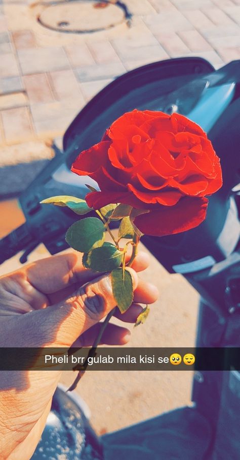 Rose Day Pic Snapchat, Rose In Hand Snapchat, Rose Snapchat Stories, Rose Snapchat, Rosé Snapchat, Rose Snap, Rose In Hand, Female Police, Snap Streak Ideas Easy