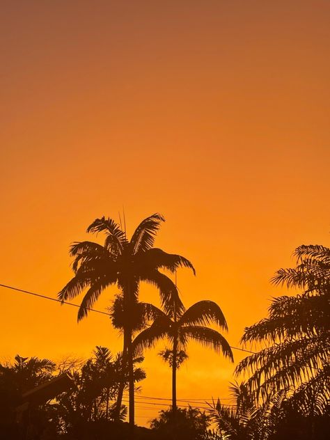 Beach Golden Hour Aesthetic, Golden Hour Beach Aesthetic, Golden Asthetic Picture, Golden Beach Aesthetic, Golden Summer Aesthetic, Gold Sunset Aesthetic, Yellow Beach Aesthetic, Golden Sunset Aesthetic, Summer Sun Aesthetic