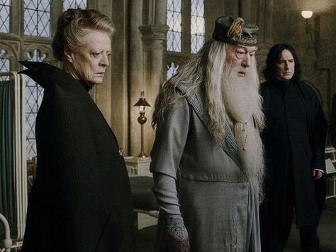 Harry Potter Harry Potter Fan Theories, Ron E Hermione, Harry Potter Half Blood Prince, Hogwarts Professors, Film Harry Potter, Michael Gambon, Half Blood Prince, Severus Rogue, Maggie Smith