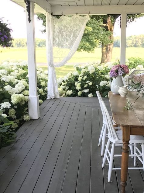 Landscaping Around Wrap Around Porch, Farmhouse Hydrangea Landscape, Front Of House Landscape Ideas Farmhouse Wrap Around Porches, Front Porch Hydrangeas, Hydrangea Porch, Wrap Around Porch Landscaping, Hydrangea Front Porch, Porch Hydrangeas, Front Porch Flower Bed