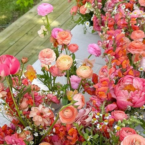 Erica & Nick Santoro on Instagram: "Had to post this one separately from my last post because 🤩 The most juiciest citrus palette for an Italian Aperol Spritz themed Bridal Shower yesterday! So many amazing blooms in here to perfect my vision for the day - Ranunculus (our second flush timed so well with this week!!), Coral Charm Peonies, California grown Orange Snapdragon, the very last of our Butterfly Ranunculus, Cress and garden roses 💗🧡" Aperol Spritz Flowers, Aperol Spritz Wedding Theme, Aperol Spritz Party Theme, Aperol Spritz Wedding, Orange Snapdragon, Citrus Palette, Coral Aesthetic, Summer Spritz, Butterfly Ranunculus