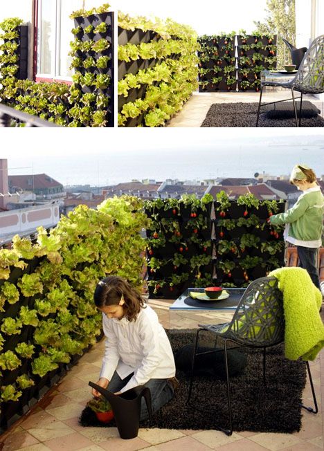 Minigardens are kits which come in various sizes with differing numbers of trays, all of which can be stacked, suspended and hung in various ways. Artificial Vertical Garden, Roof Terrace Design, Vertical Garden Design, Vertical Gardens, Walled Garden, Rooftop Garden, Roof Top, Roof Garden, Veggie Garden