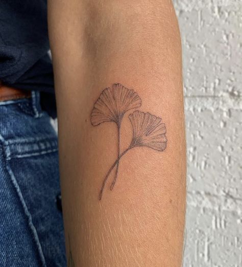 Ghinkos Tattoos, Fine Line Ginko Tattoo, Fine Line Gingko Tattoo, Fan Leaf Tattoo, Gingko Tree Tattoo, Ginko Leaf Tattoos Meaning, Ginkgo Leaf Tattoo Meaning, Ginko Leaf Tattoo Minimalist, Gingko Leaf Tattoo Meaning