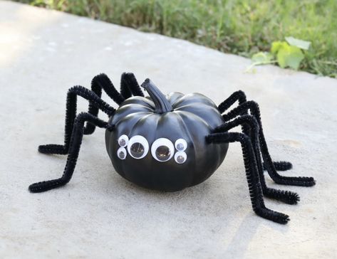 Painting Real Pumpkins Ideas, Spider Painted Pumpkin, Boy Pumpkin Painting Ideas, Pumpkin Painting Spider, Pumpkin Painting Ideas Spider, Pumpkin Painting Ideas Black, Spider Pumpkin Painting, Black Pumpkin Painting Ideas, Easy Pumpkin Decorating