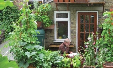 Container Landscaping, Small Balcony Garden, Plants Growing, Small Space Gardening, City Garden, Roof Garden, Urban Farming, Growing Food, Edible Garden