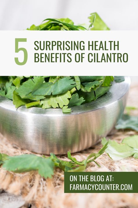 People are increasingly seeking natural ways to enhance their health, and one humble herb that stands out for its numerous benefits is cilantro. Widely used in culinary dishes for its fresh, zesty flavor, cilantro offers a host of health advantages. In this blog, we’ll explore five surprising health benefits of cilantro and share some delicious recipes from our kitchen to help you incorporate this powerful herb into your diet.

1️⃣ Nutritional Powerhouse

Cilantro is packed with essential.... Herbs And Their Health Benefits, Cilantro Herb Benefits, Cilantro Benefits Health, Benefits Of Cilantro, Cilantro Benefits, Culinary Dishes, Healthy Routine, Breast Milk, Delicious Recipes